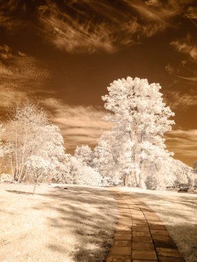kamu Parkı Turaida Sigulda, Letonya görünümünde. kızılötesi görüntü