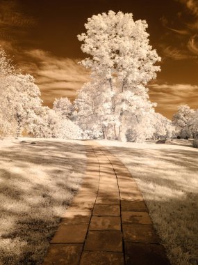 kamu Parkı Turaida Sigulda, Letonya görünümünde. kızılötesi görüntü