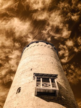 kamu Parkı Turaida Sigulda, Letonya görünümünde. kızılötesi görüntü