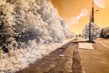 forest park içinde asfalt yol. kızılötesi görüntü