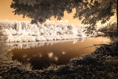 Valmiera Letonya Gauja nehir tarafından turist iz. sonbahar c