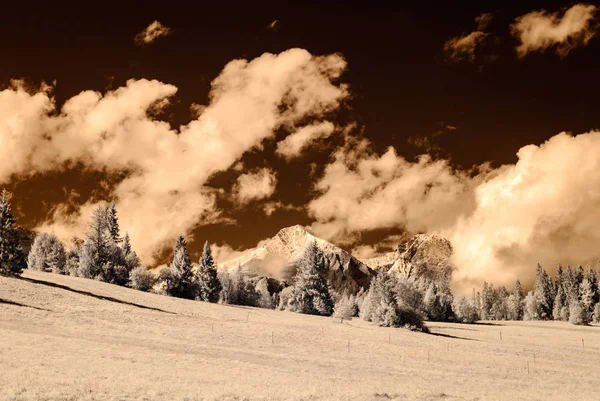 dağ manzara orman. kızılötesi görüntü