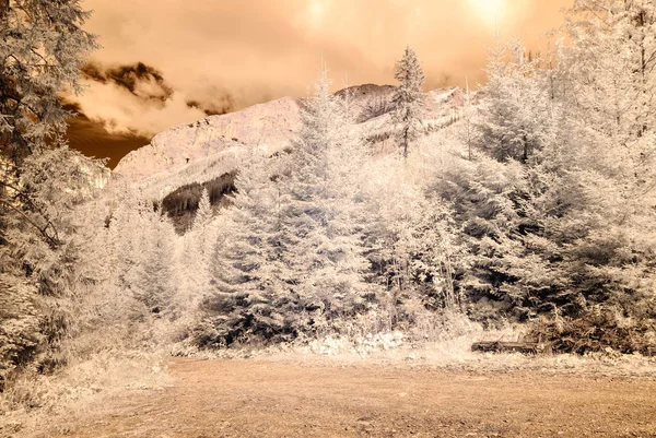 dağ manzara orman. kızılötesi görüntü