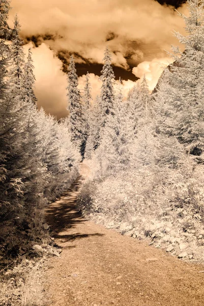 dağ manzara orman. kızılötesi görüntü