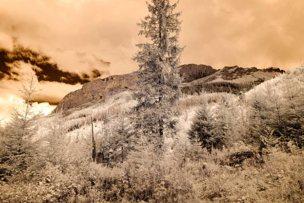 dağ manzara orman. kızılötesi görüntü