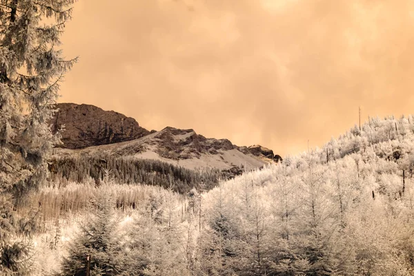 dağ manzara orman. kızılötesi görüntü