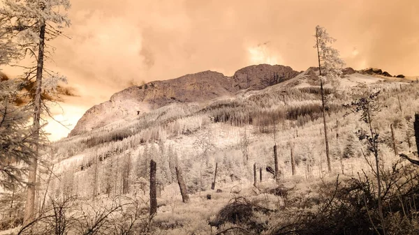 dağ manzara orman. kızılötesi görüntü