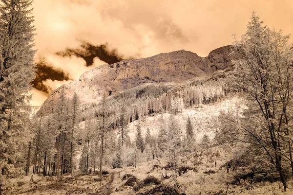 dağ manzara orman. kızılötesi görüntü