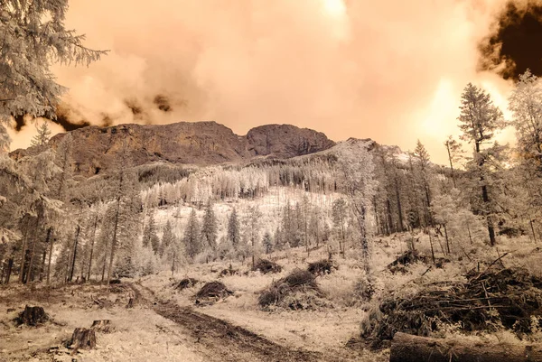 dağ manzara orman. kızılötesi görüntü