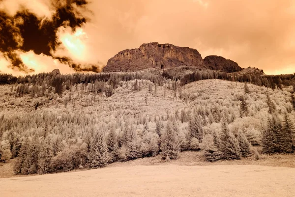 dağ manzara orman. kızılötesi görüntü