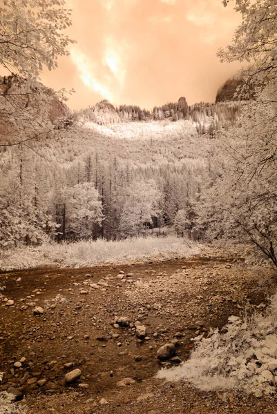 dağ manzara orman. kızılötesi görüntü