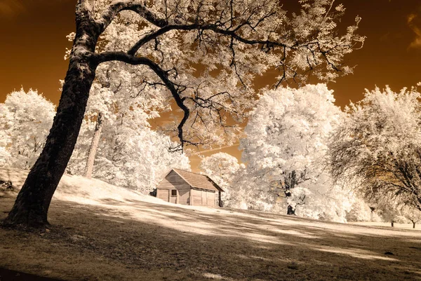 kamu Parkı Turaida Sigulda, Letonya görünümünde. kızılötesi görüntü