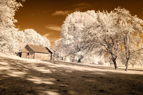 kamu Parkı Turaida Sigulda, Letonya görünümünde. kızılötesi görüntü