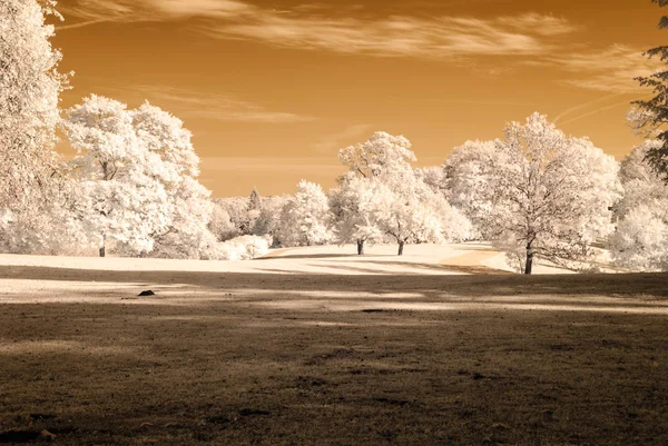 kamu Parkı Turaida Sigulda, Letonya görünümünde. kızılötesi görüntü