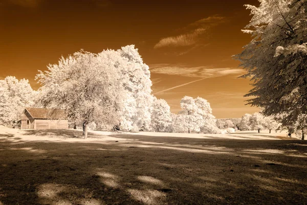 kamu Parkı Turaida Sigulda, Letonya görünümünde. kızılötesi görüntü