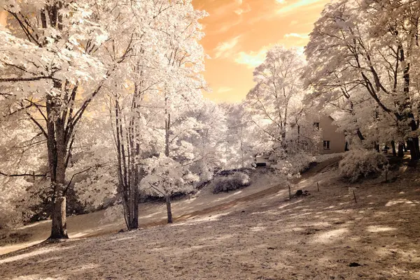 kamu Parkı Turaida Sigulda, Letonya görünümünde. kızılötesi görüntü