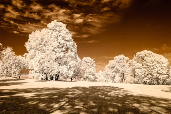 Vista al parque público en Turaida Sigulda, Letonia. imagen infrarroja — Foto de Stock