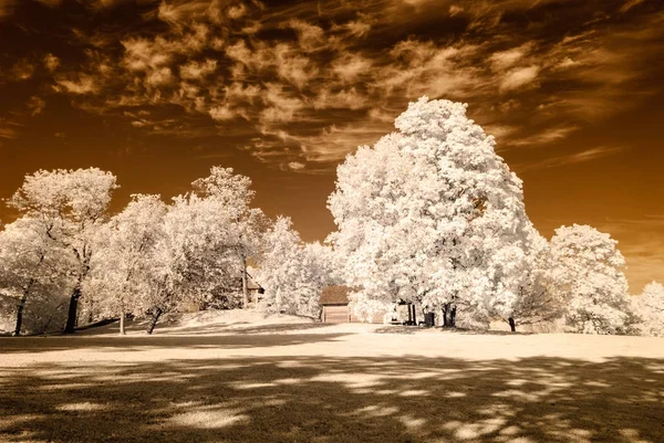 在卡波锡古尔达，拉脱维亚公共公园景观。红外图像 — 图库照片