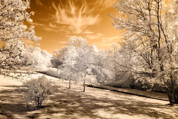 Vista al parque público en Turaida Sigulda, Letonia. imagen infrarroja — Foto de Stock