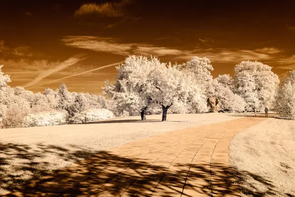 kamu Parkı Turaida Sigulda, Letonya görünümünde. kızılötesi görüntü