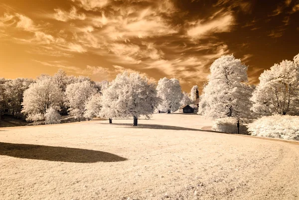 kamu Parkı Turaida Sigulda, Letonya görünümünde. kızılötesi görüntü