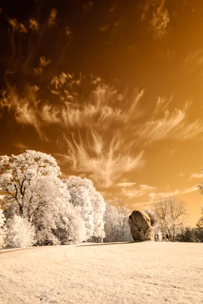 kamu Parkı Turaida Sigulda, Letonya görünümünde. kızılötesi görüntü