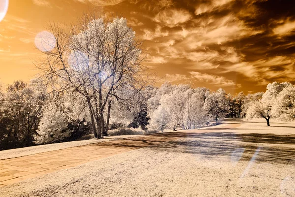 kamu Parkı Turaida Sigulda, Letonya görünümünde. kızılötesi görüntü