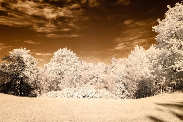 kamu Parkı Turaida Sigulda, Letonya görünümünde. kızılötesi görüntü