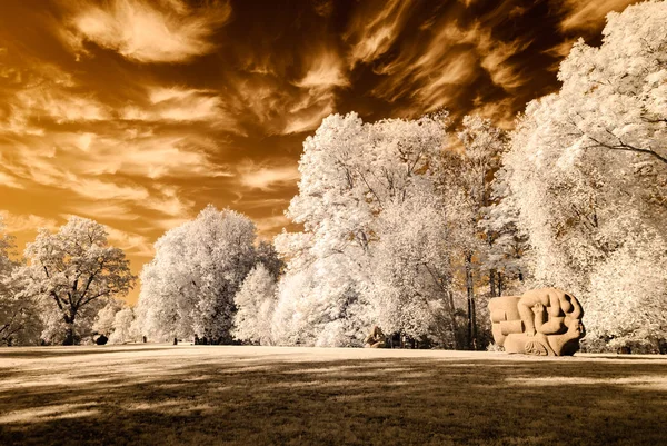 kamu Parkı Turaida Sigulda, Letonya görünümünde. kızılötesi görüntü