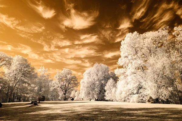 kamu Parkı Turaida Sigulda, Letonya görünümünde. kızılötesi görüntü