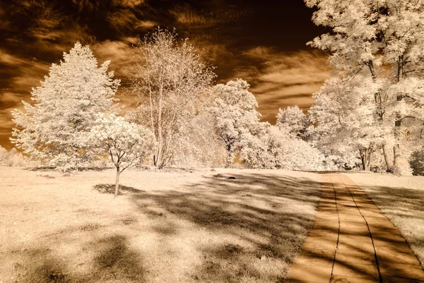 Blick auf den öffentlichen Park in Turaida sigulda, Lettland. Infrarotbild — Stockfoto