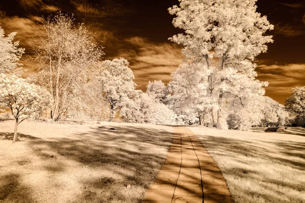 kamu Parkı Turaida Sigulda, Letonya görünümünde. kızılötesi görüntü