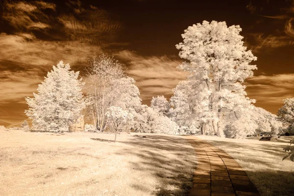 Vista al parque público en Turaida Sigulda, Letonia. imagen infrarroja — Foto de Stock