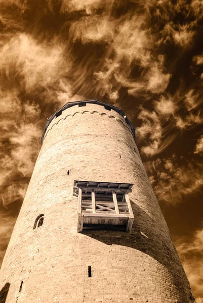 kamu Parkı Turaida Sigulda, Letonya görünümünde. kızılötesi görüntü