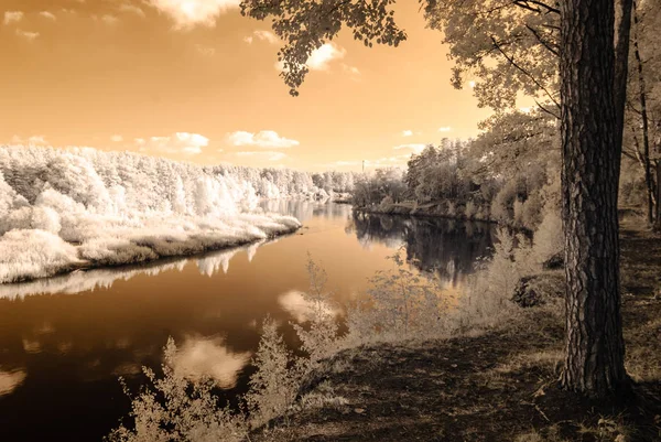 Valmiera ラトビアのガウヤ川の観光トレイル。秋 c — ストック写真