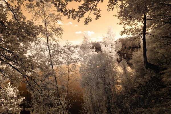 Valmiera Letonya Gauja nehir tarafından turist iz. sonbahar c