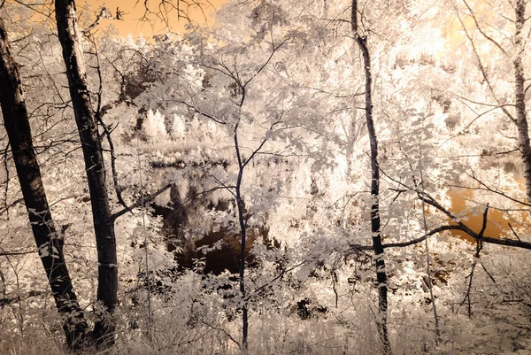 Blick auf den öffentlichen Park in Turaida sigulda, Lettland. Infrarotbild — Stockfoto