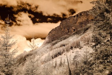 dağ manzara orman. kızılötesi görüntü