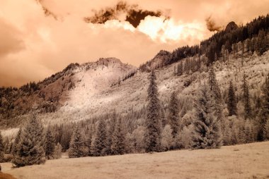 dağ manzara orman. kızılötesi görüntü