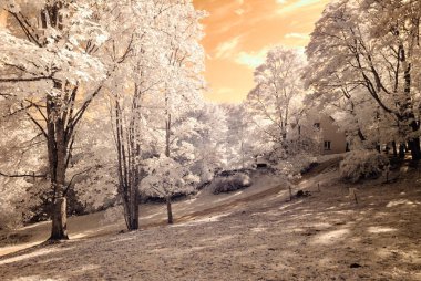 kamu Parkı Turaida Sigulda, Letonya görünümünde. kızılötesi görüntü