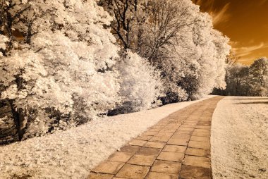 kamu Parkı Turaida Sigulda, Letonya görünümünde. kızılötesi görüntü