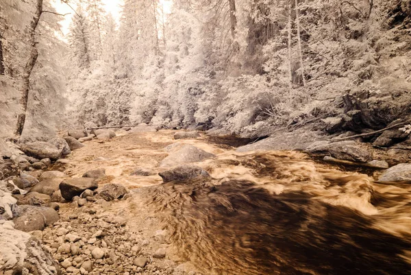 Slovakya ormandaki nehir dağ. sonbahar renkleri. Kızılötesi im — Stok fotoğraf