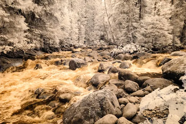 Río de montaña en el bosque en Eslovaquia. colores de otoño. infrarrojo im — Foto de Stock