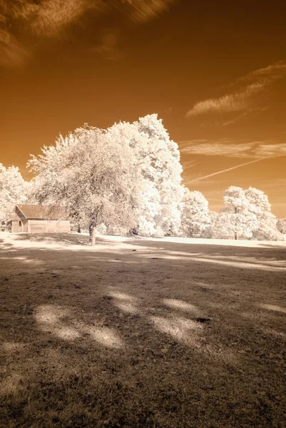 kamu Parkı Turaida Sigulda, Letonya görünümünde. kızılötesi görüntü