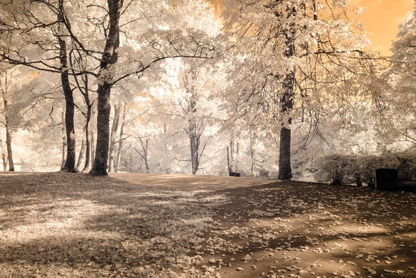 Blick auf den öffentlichen Park in Turaida sigulda, Lettland. Infrarotbild — Stockfoto