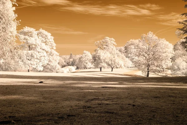 kamu Parkı Turaida Sigulda, Letonya görünümünde. kızılötesi görüntü