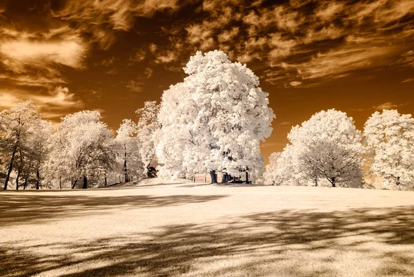 kamu Parkı Turaida Sigulda, Letonya görünümünde. kızılötesi görüntü