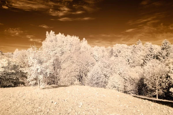 kamu Parkı Turaida Sigulda, Letonya görünümünde. kızılötesi görüntü