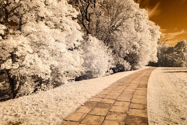 kamu Parkı Turaida Sigulda, Letonya görünümünde. kızılötesi görüntü