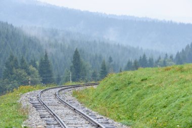 ormandaki ıslak yaz gün dalgalı demiryolu parça